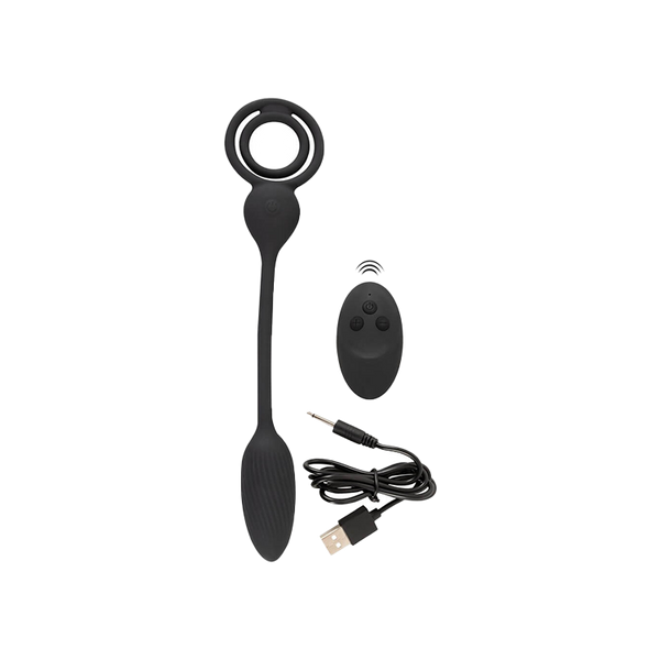Anneau pénien et testicules avec plug anal  contrôlable a distance