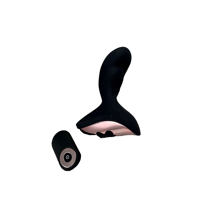 Vibrating Anal Plug with Remote Control - $99.99 Value Sexy Surprise Vibrating Anal Plug with Remote Control - $99.99 Value Sexy Surprise